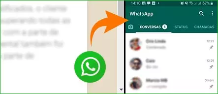 Botão flutuante do whatsapp